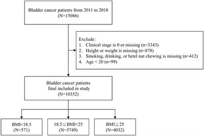 Navigating the obesity paradox in bladder cancer prognosis—insights from the Taiwan National Health Insurance System Database